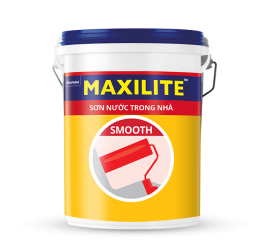 MAXILITE TRONG NHÀ KINH TẾ