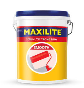 MAXILITE TRONG NHÀ KINH TẾ