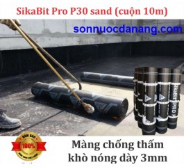 SIKABIT PRO P-30-0 SAND